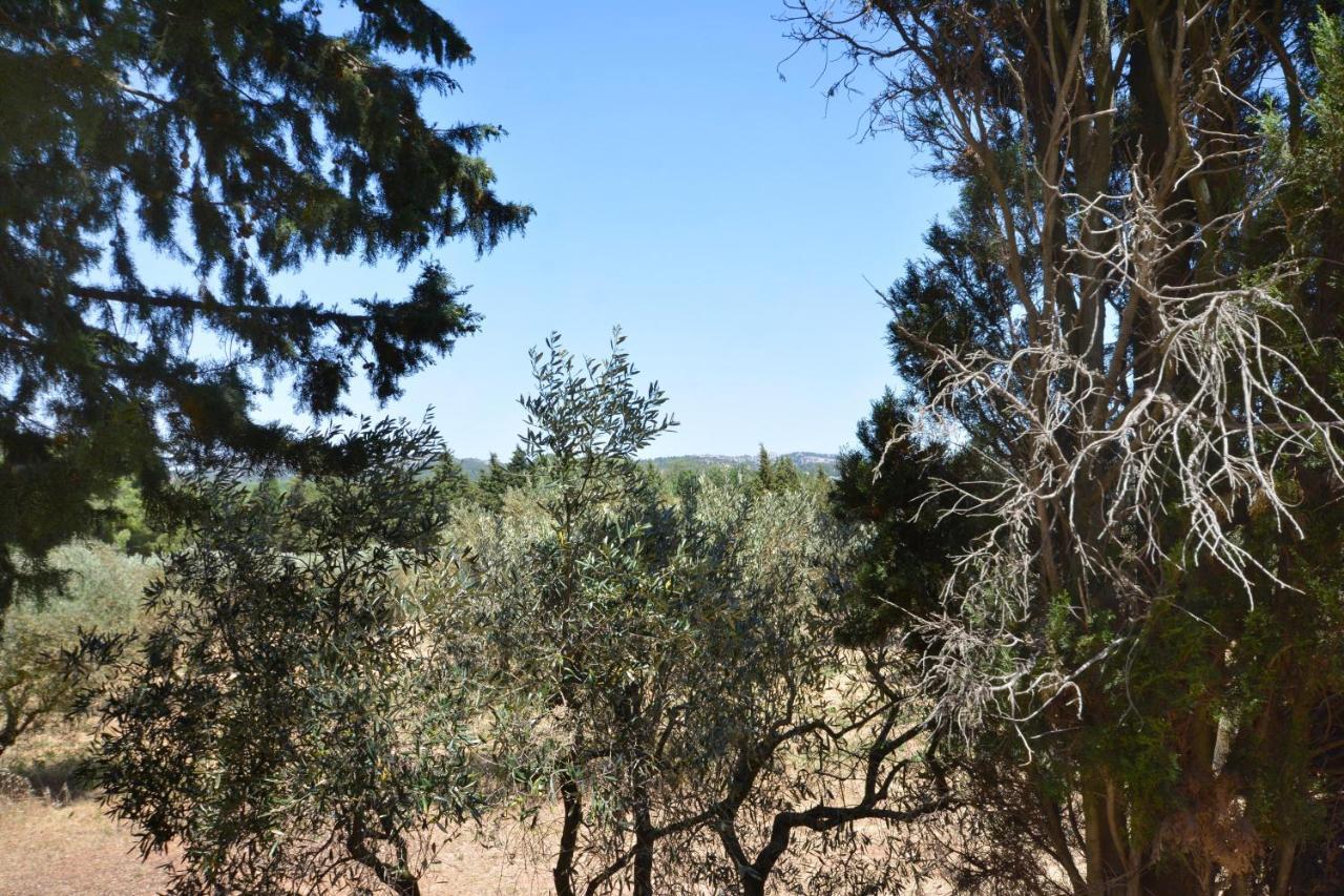 Les Mazets De La Reine Pedauque Villa Paradou Buitenkant foto